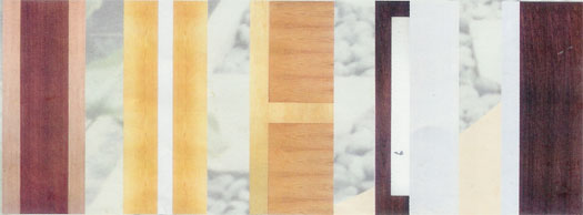 Veneer Door